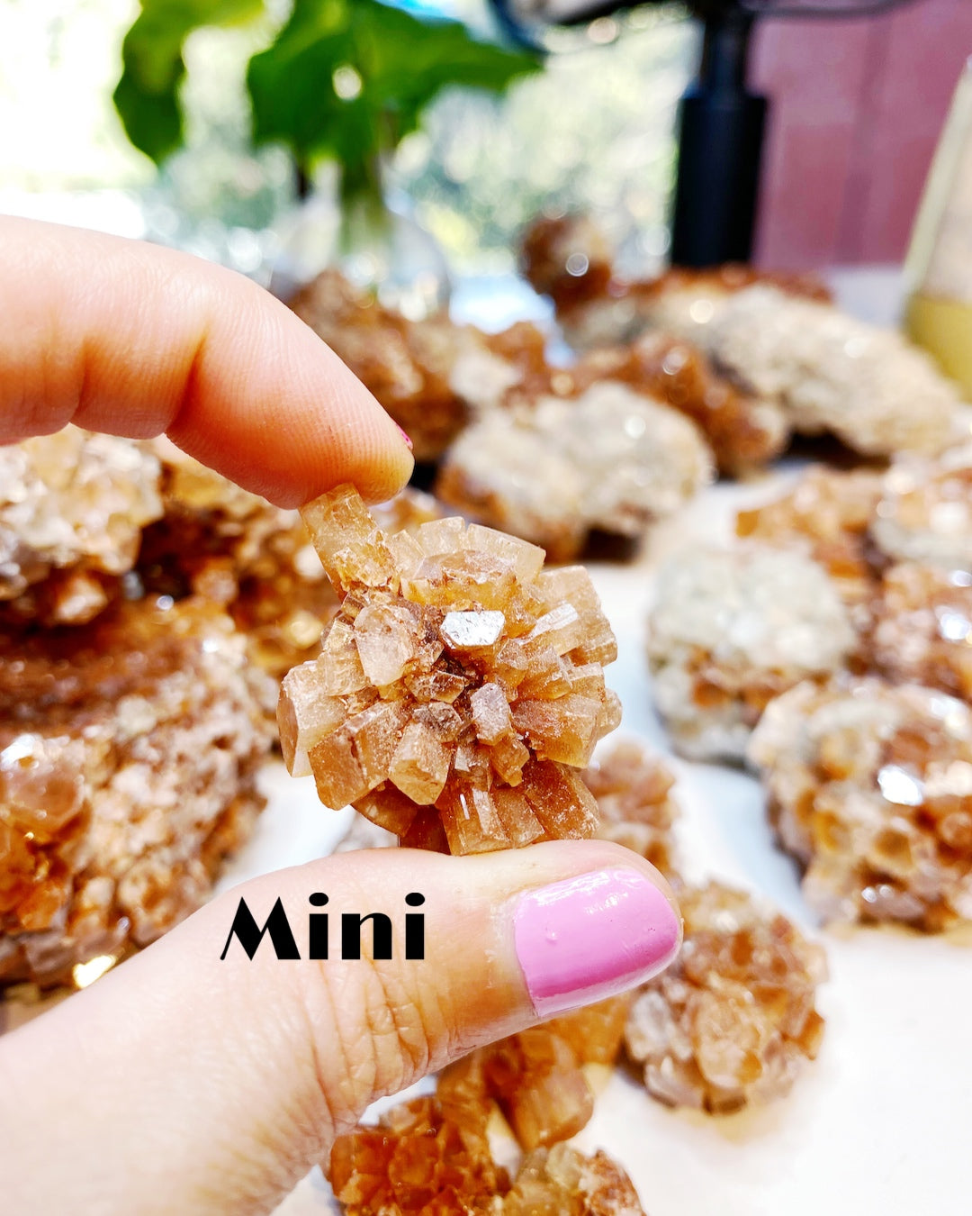 Aragonite Star Cluster - Baltic Mermaid