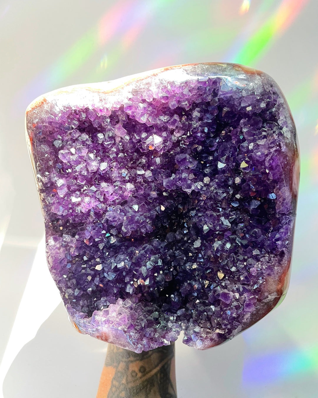 Large Amethyst Cluster Cut base - Baltic Mermaid