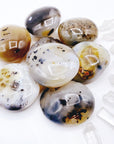 Dendritic Agate Palm Stones