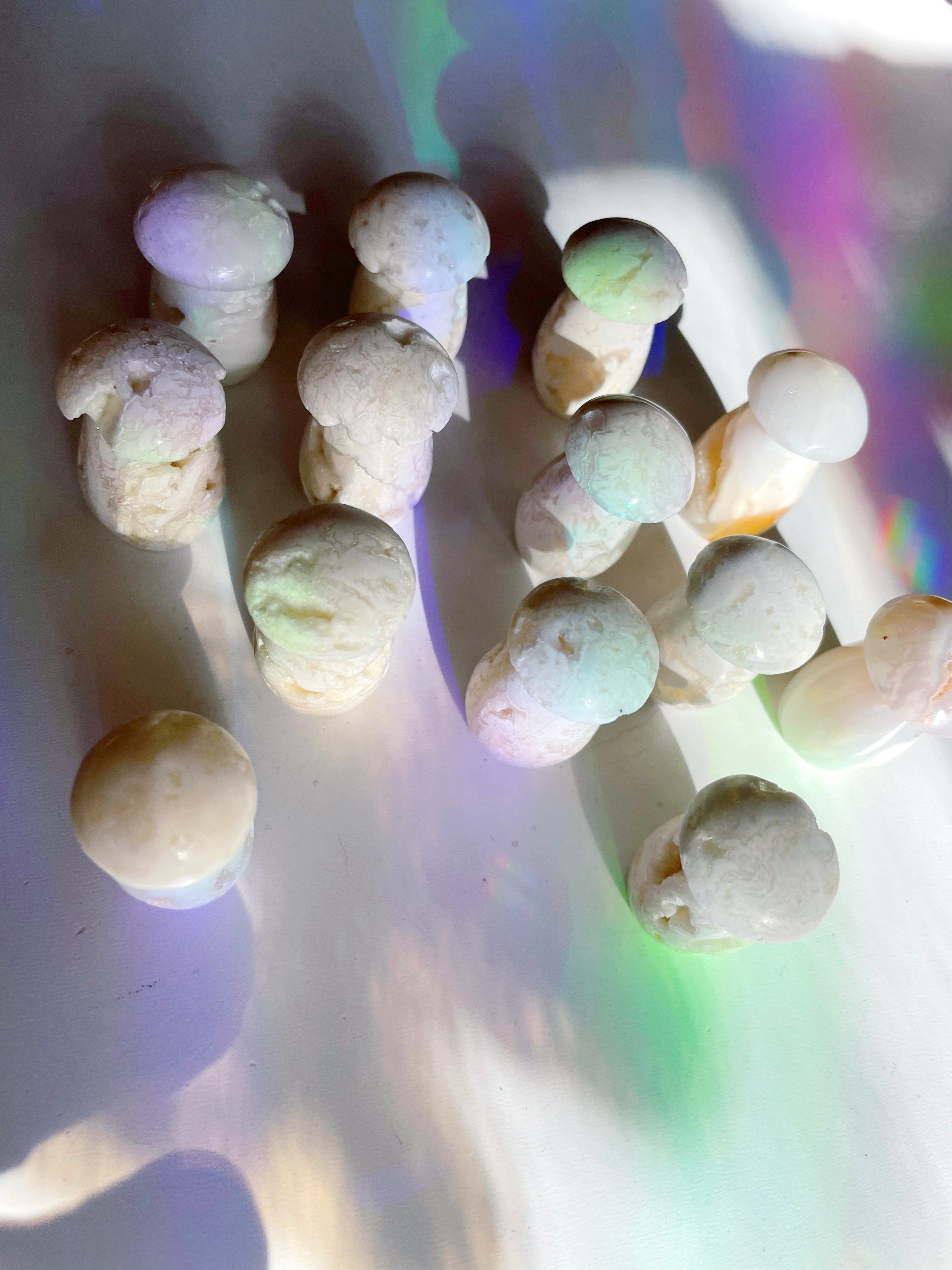 Snow Agate Mushroom - Baltic Mermaid