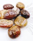 Petrified Wood Palm Stones