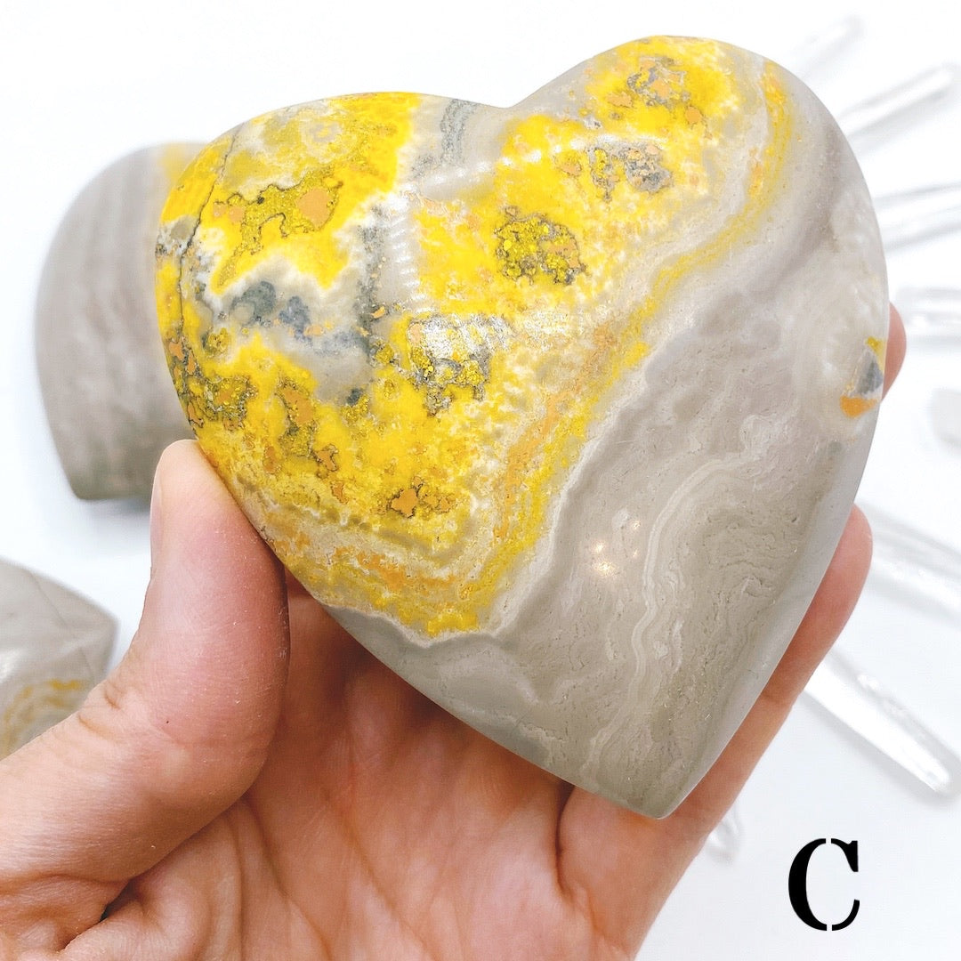 Bumblebee Jasper Hearts