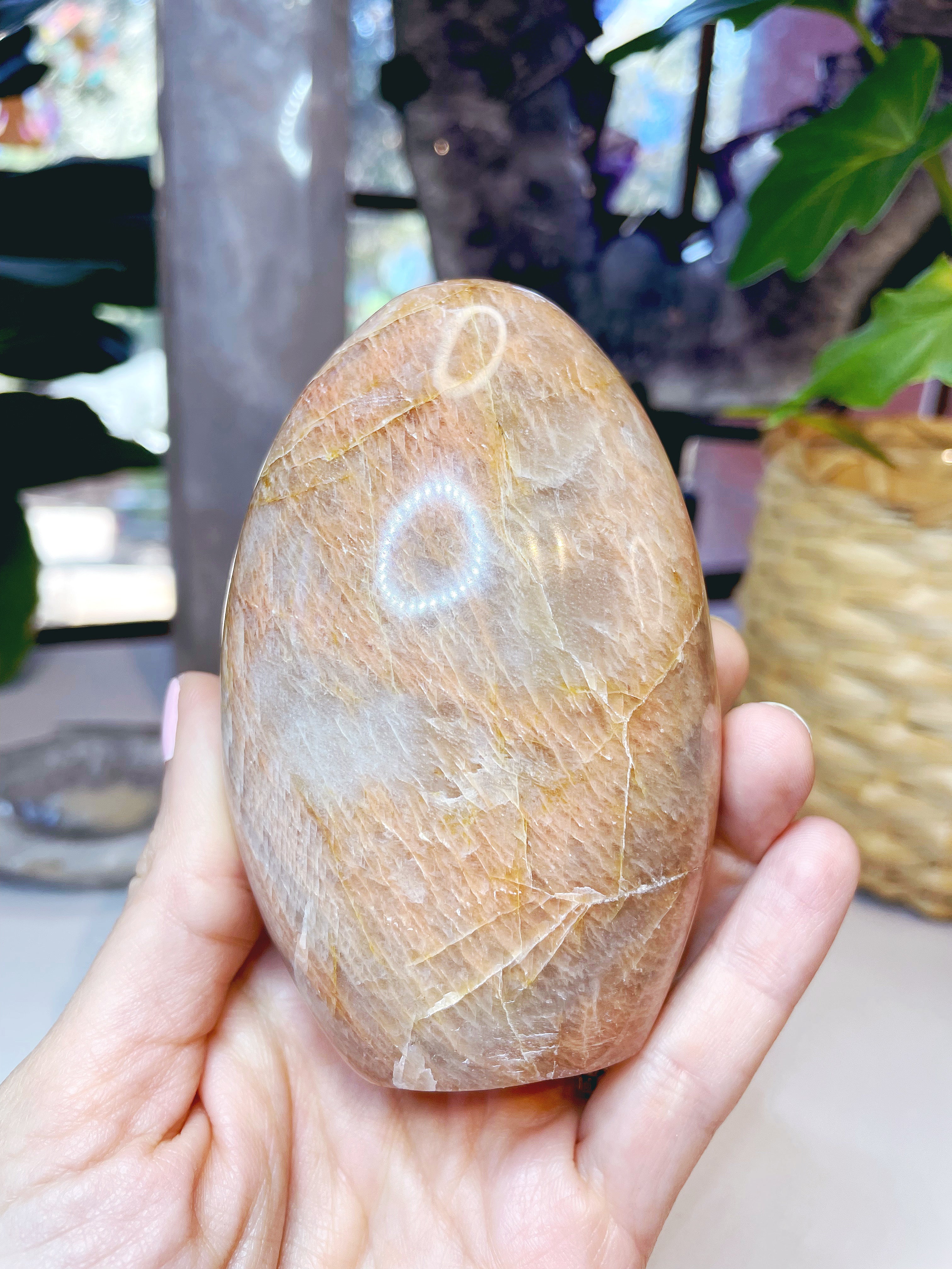 Peach Moonstone Freeform - Baltic Mermaid