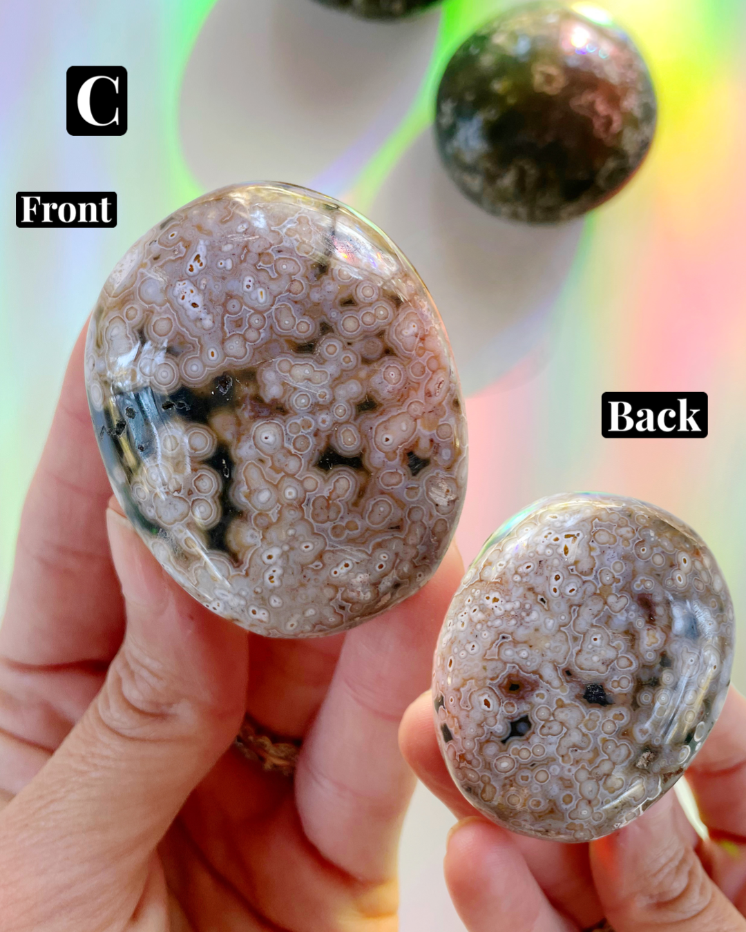 Ocean Jasper Palm Stones 7th Vein