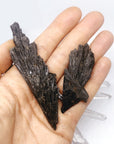 Black Kyanite Fans