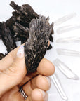 Black Kyanite Fans