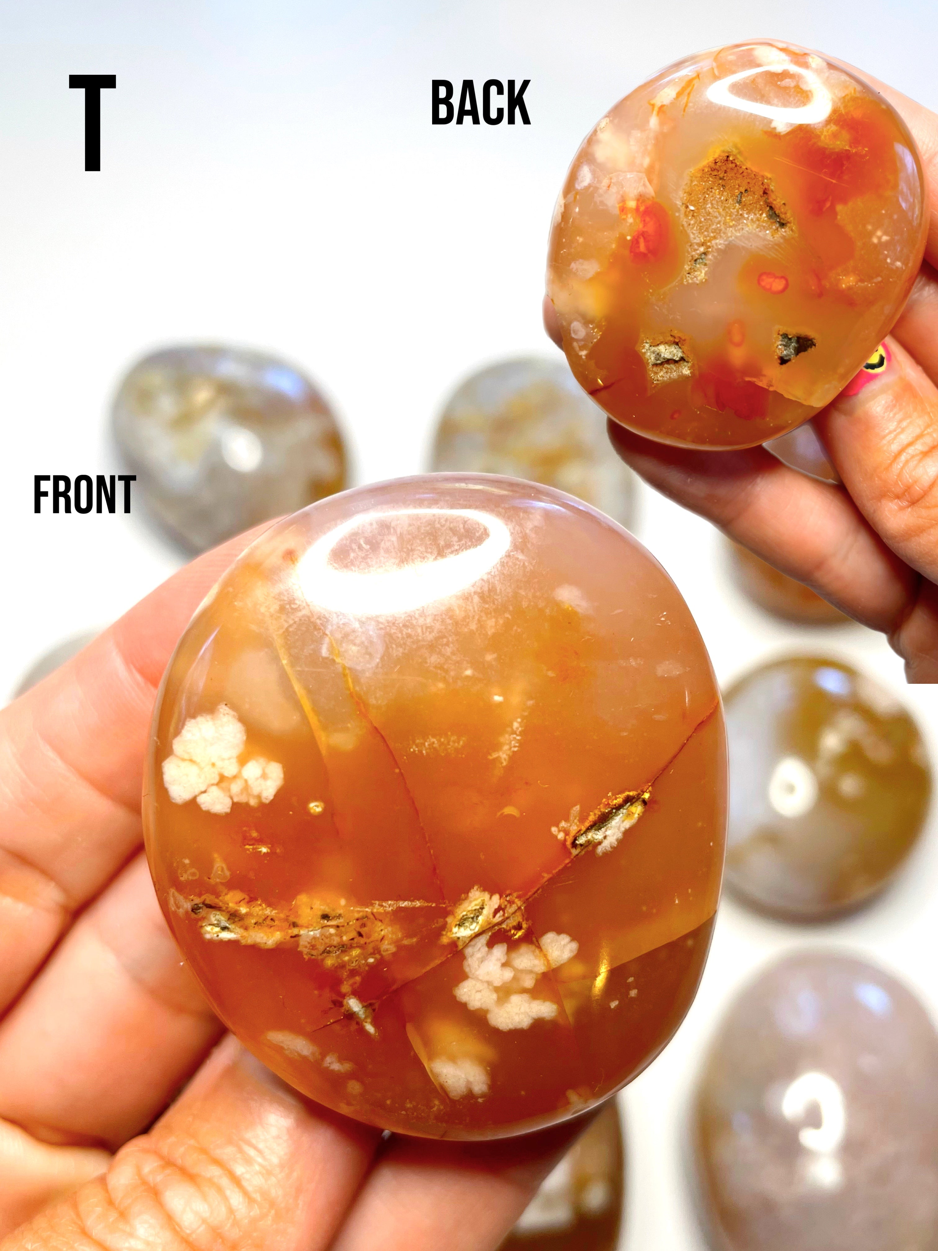 Flower Agate Palm Stones - Baltic Mermaid