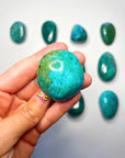 Chrysocolla Palm Stones/Large Tumbles