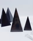 Shungite Spikes